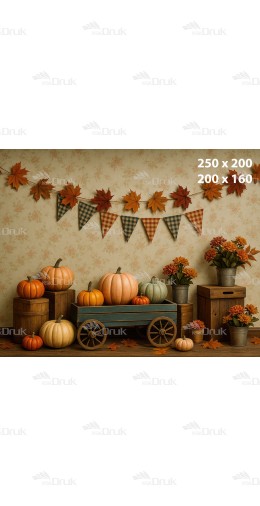 Tło fotograficzne Jesień, Dynie J_191